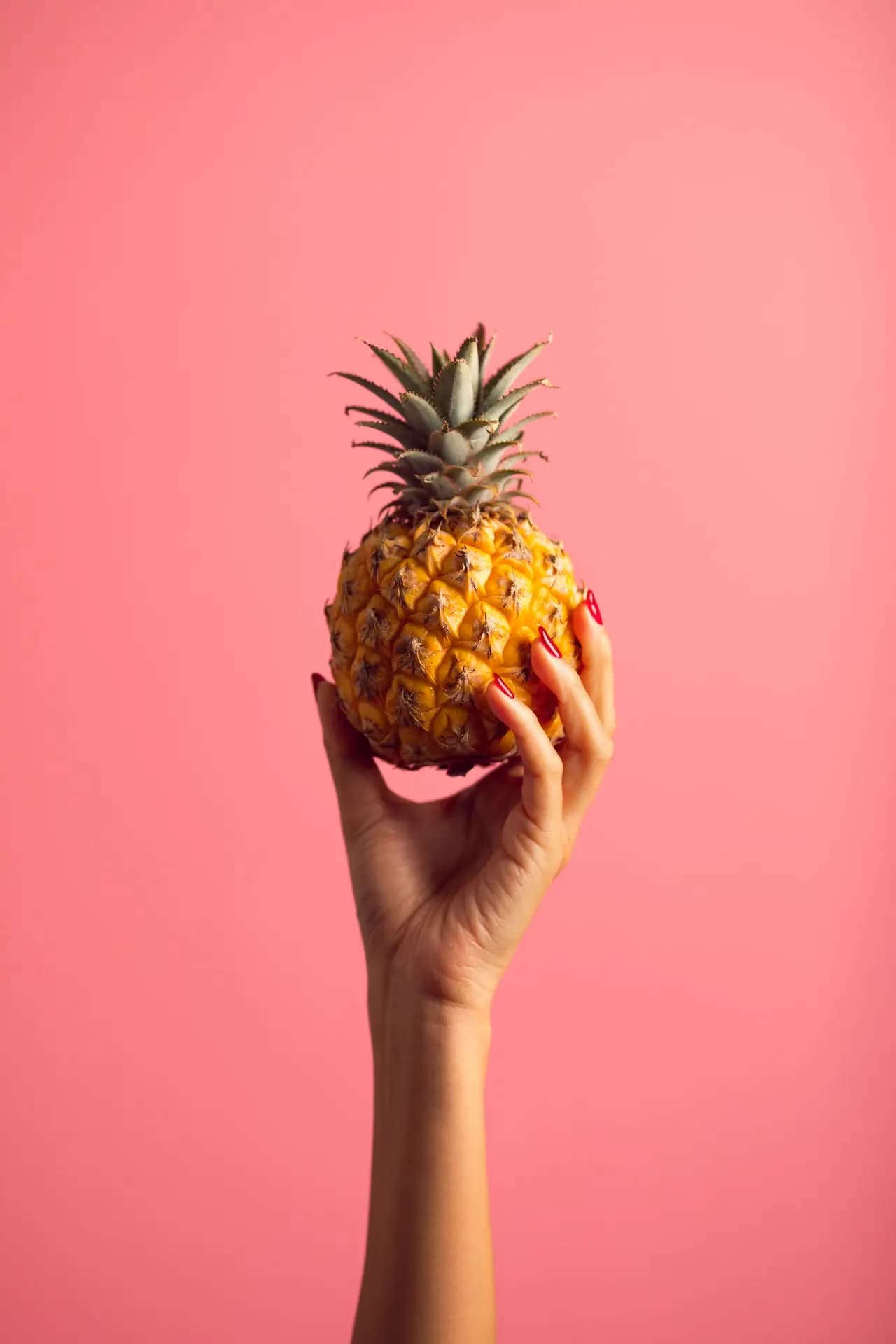 Test Based Nutrition by Juliana Jehle